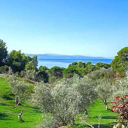 Angelos Hotel Skiathos